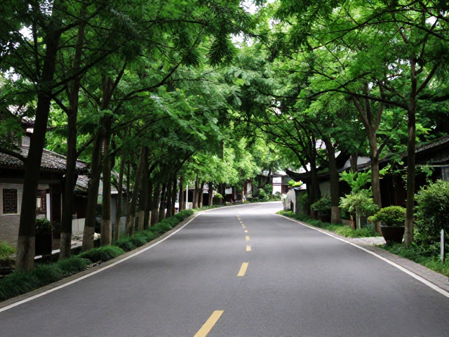 古镇串联短途游，穿越森林公路环线，邂逅绝美林荫自驾路