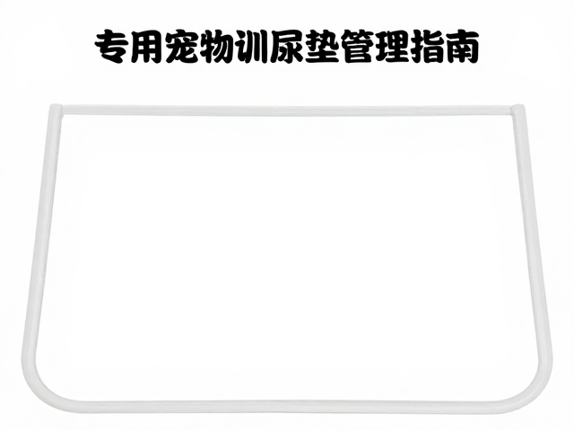 中大型犬夜间如厕难？专用宠物训练尿垫管理指南