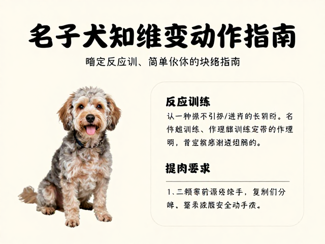 环境丰富化与感官刺激的日常融入