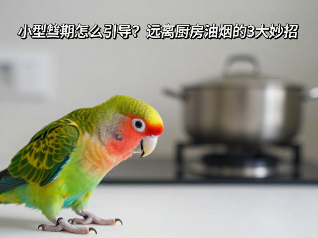 物理隔离与环境改造策略
