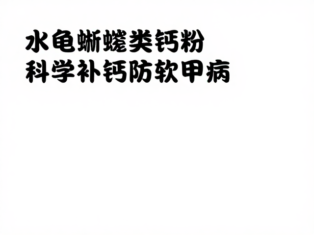 饮食基底与天然食物中的钙源