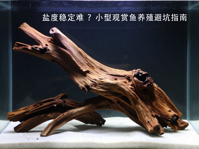 沉木预处理的标准作业流程