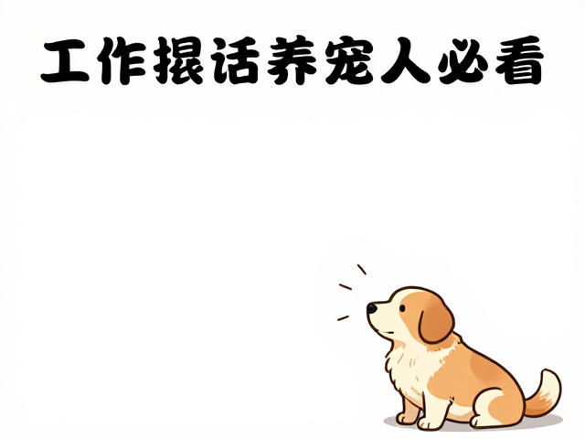 工作繁忙养宠人必看，到店基础服从课，轻松搞定坐下指令
