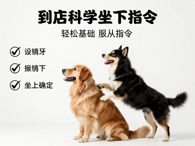 科学拆解“坐下”指令的核心逻辑