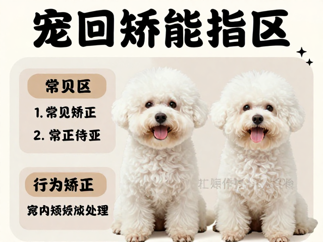 常见误区与行为矫正策略