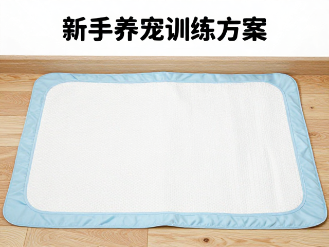 新手养宠训练方案,室内定点如厕技巧,尿垫面积够大更成功