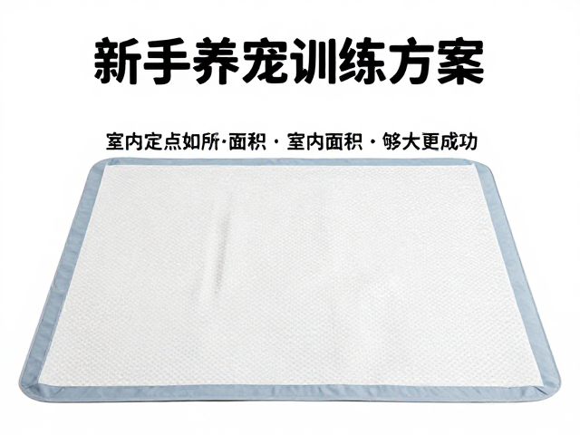 训练过程中的常见误区与修正