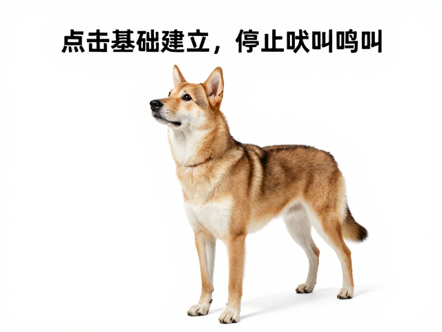 针对吠叫鸣叫的行为重塑策略