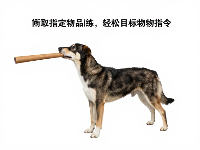基础建立与单次物品关联