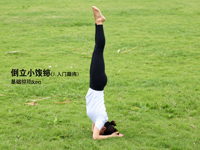 渐进式训练路径与动作分解