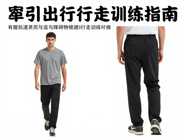 实战场景下的综合行走控制