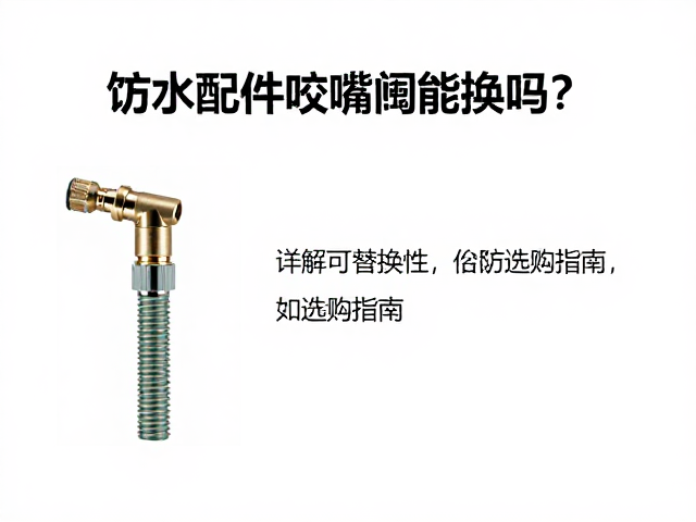 饮水软管配件咬嘴阀能换吗？详解可替换性与选购指南