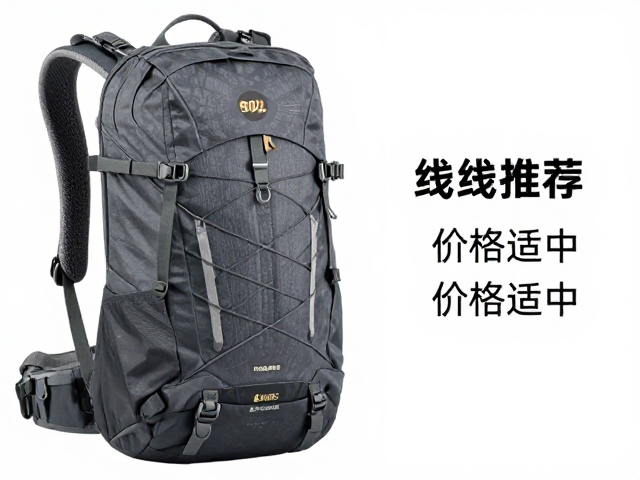 场景适配与实际使用体验