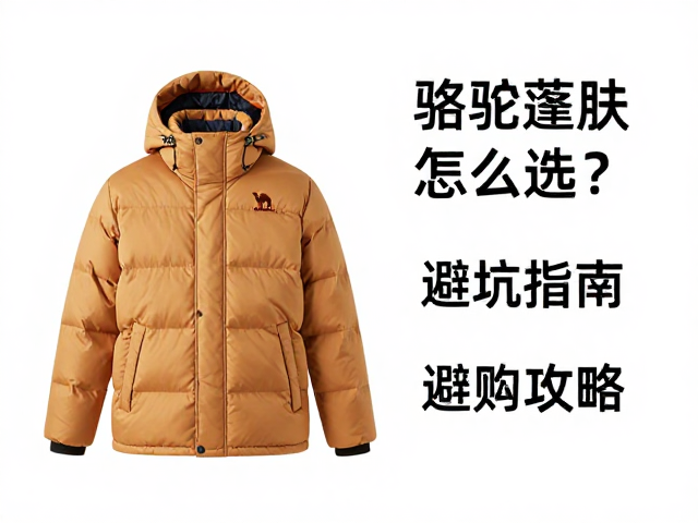 识别虚假参数与避坑要点