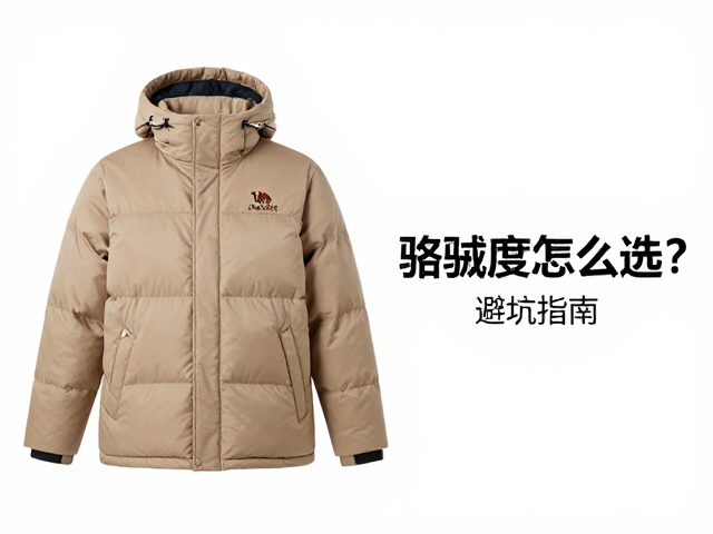洗涤保养对蓬松度的长期影响