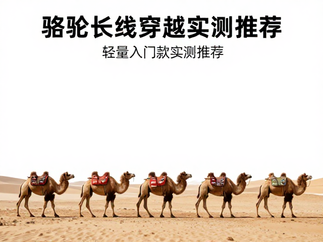选购要点与避坑指南