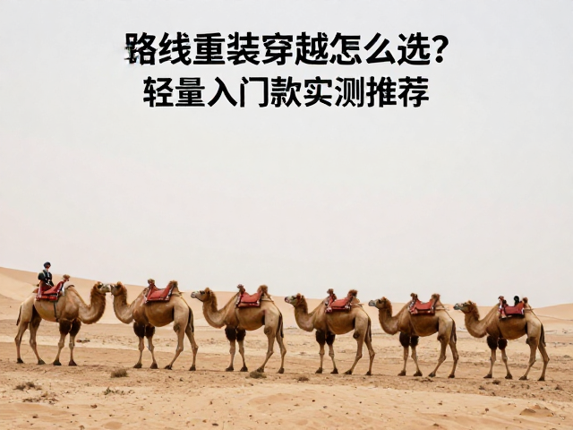 实战测试与长期使用反馈