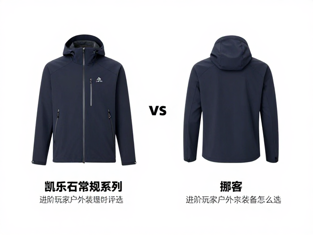 价格区间与长期使用成本的评估