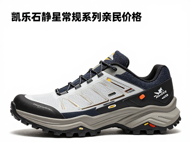 价格体系与市场性价比分析