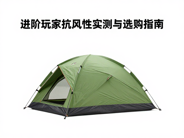 搭建技巧与日常维护建议