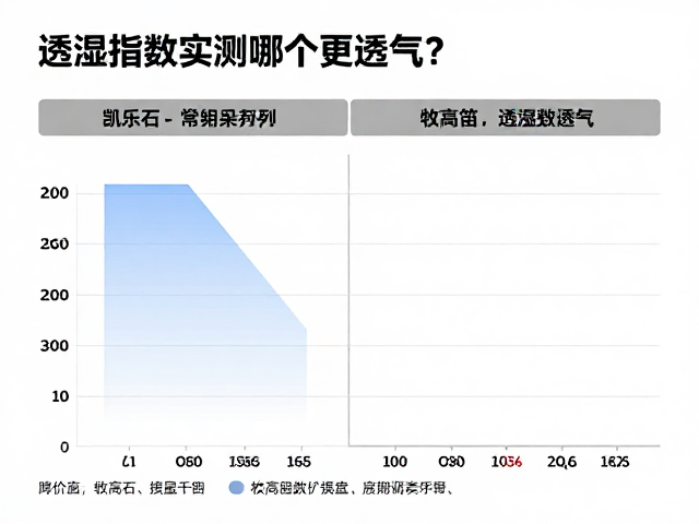 实测环境与变量影响
