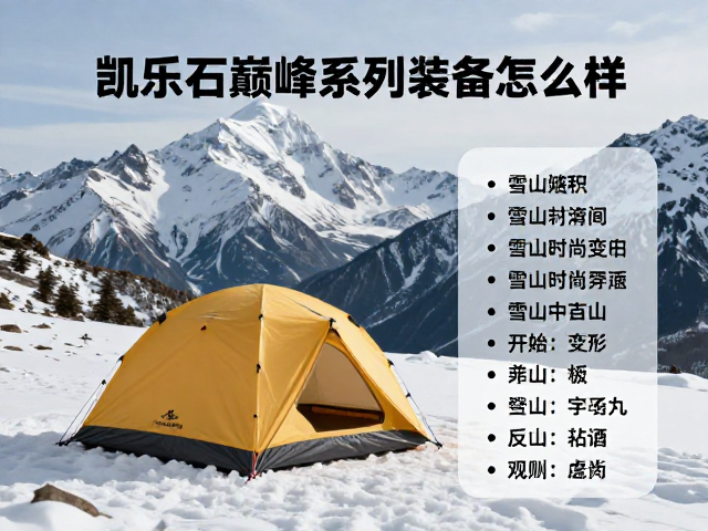 极端环境下的性能表现与实地场景