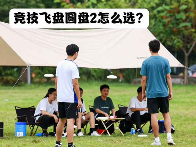 竞技飞盘圆盘怎么选？轻量化玩家搭配天幕攻略