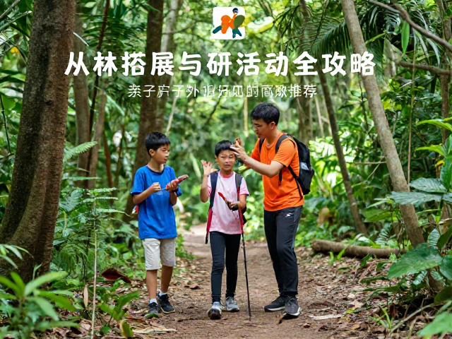 亲子户外小游戏推荐,丛林拓展与研学活动全攻略