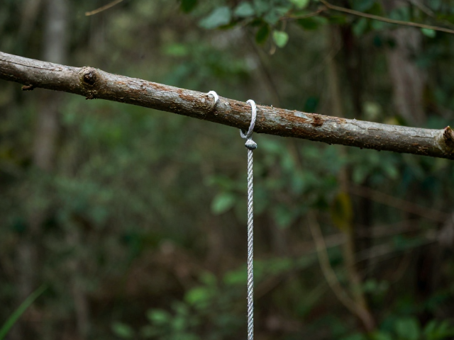 树枝临时固定用松紧调节绳？多人营地多点挂绳超稳