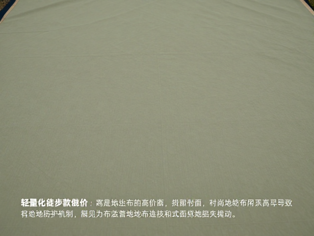 双人气垫怎么选?轻量化徒步款溢价高,营地地布搭配指南