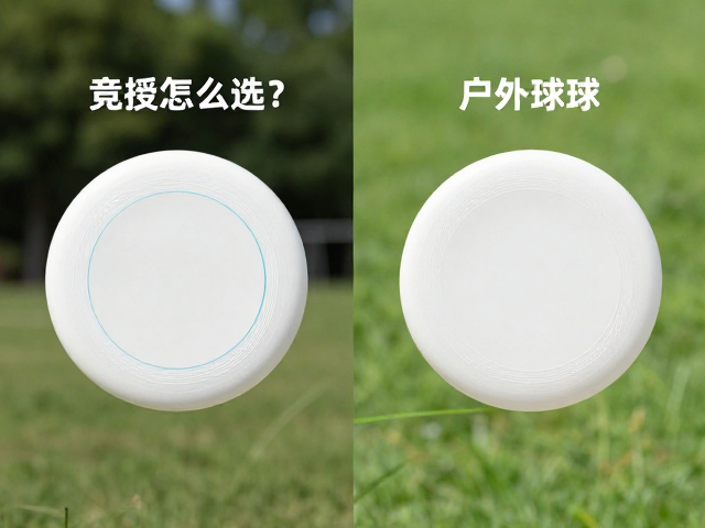 竞技飞盘怎么选？圆盘材质与安装便捷度评测，对比户外球类