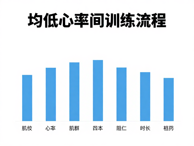 中低心率区间训练,均衡肌群与阻力档位的科学搭配指南