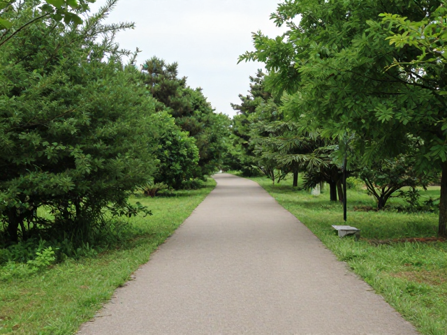 郊野公园步道,舒缓身心,沿途风景增加路线距离更尽兴