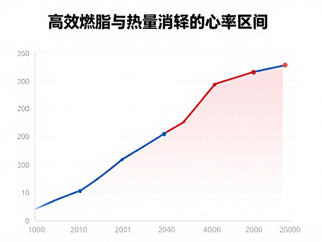 运动心率多少消耗热量最多？长期体能维护指南
