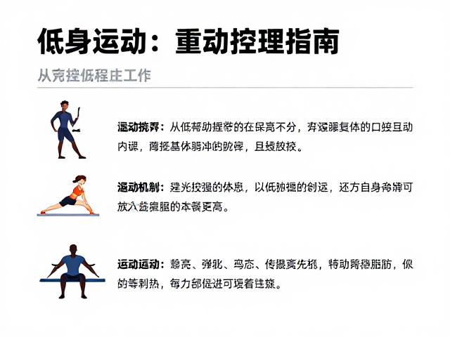 健身房低冲击区,温和活动辅助减脂控重指南