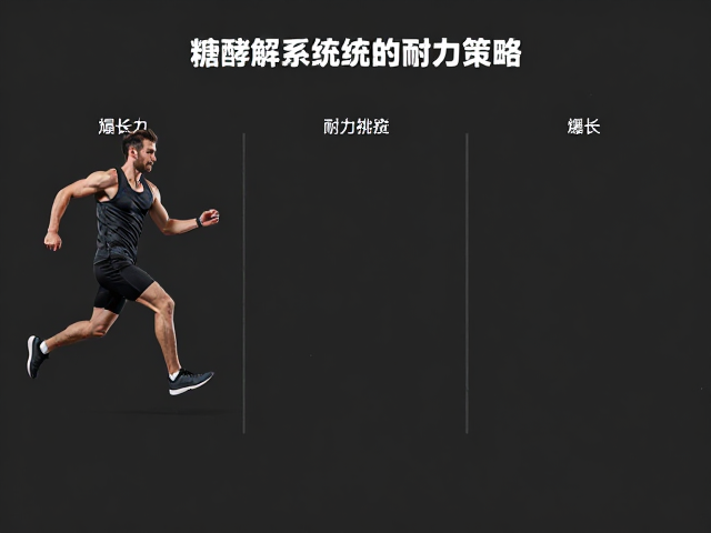 提升爆发力与力量增长，不同供能系统的训练策略