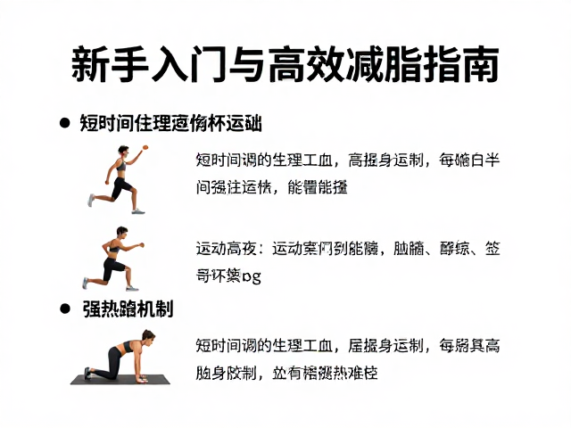 新手入门,短时间高强度运动耗能参考与高效减脂指南