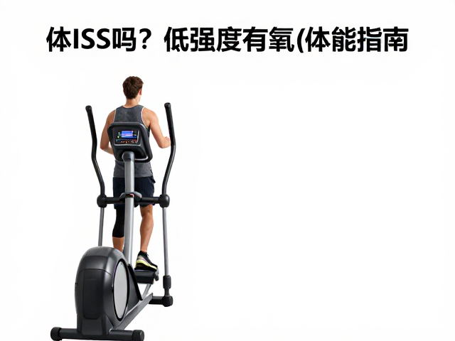 体虚适合椭圆机做LISS吗？低强度有氧恢复体能指南