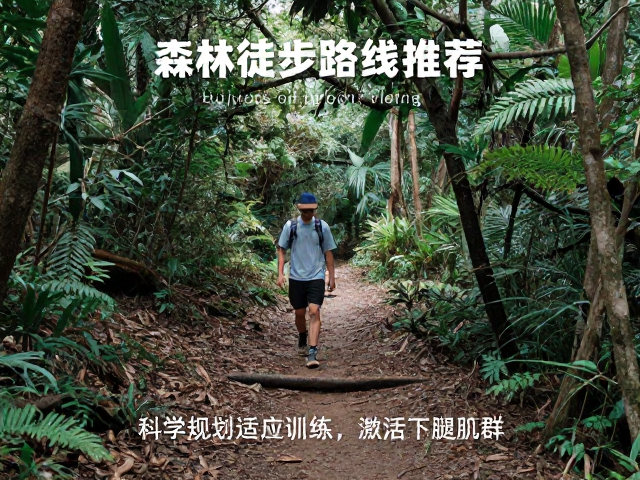 森林徒步路线推荐,通过坡度适应训练磨炼耐力攻略