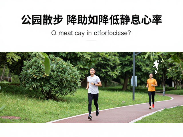 公园步道散步如何降低静息心率?3个动作让情绪更安稳