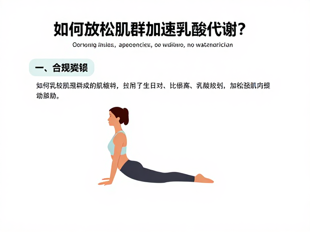 有氧运动初学者必看,如何放松肌群加速乳酸代谢?