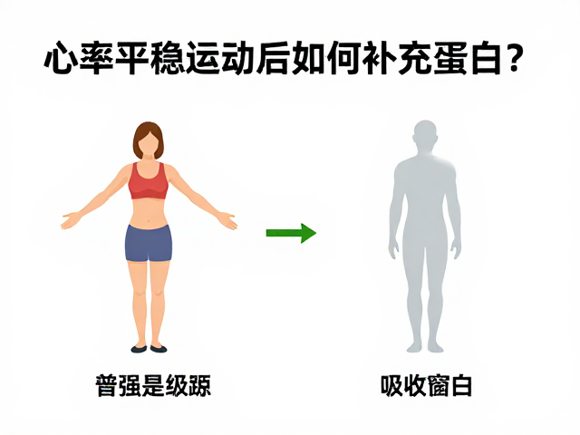 心率平稳运动后如何补充蛋白质？增强循环系统能力指南