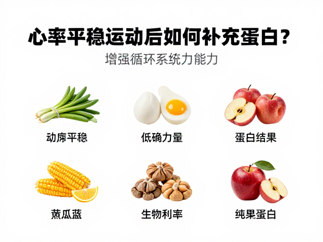 心率平稳运动后如何补充蛋白质？增强循环系统能力指南