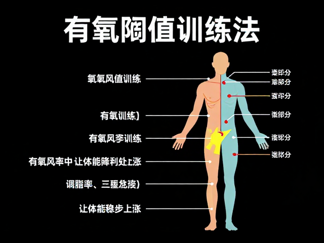 有氧阈值训练法,科学降低体脂率,让体能稳步上涨