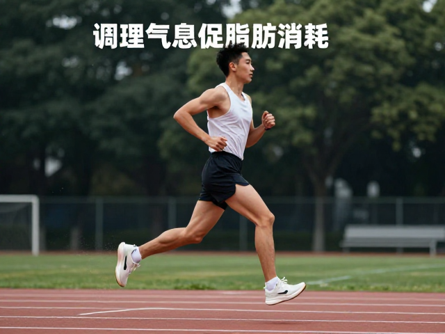 调理气息促脂肪消耗，科学配速跑出高效燃脂