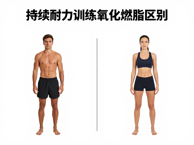 持续耐力训练耗能区别，心肺提升人群的高效燃脂指南