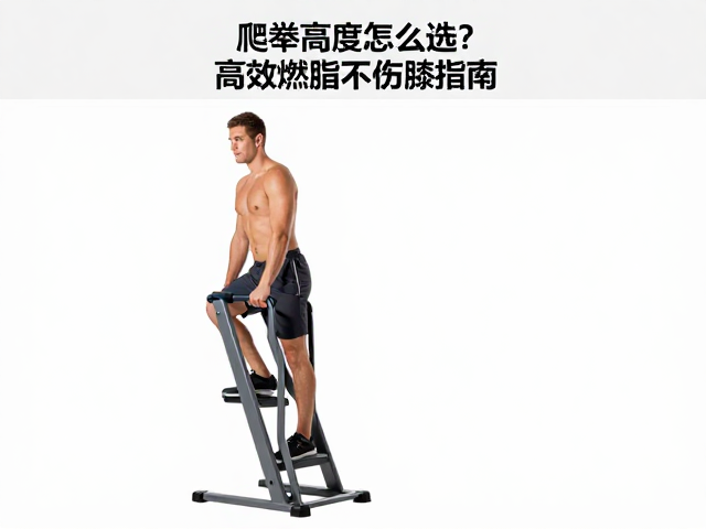 液压踏步器爬升高度怎么选？高效燃脂不伤膝指南