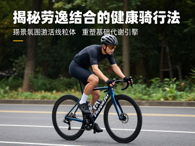 骑行如何改善代谢?揭秘劳逸结合的健康骑行法