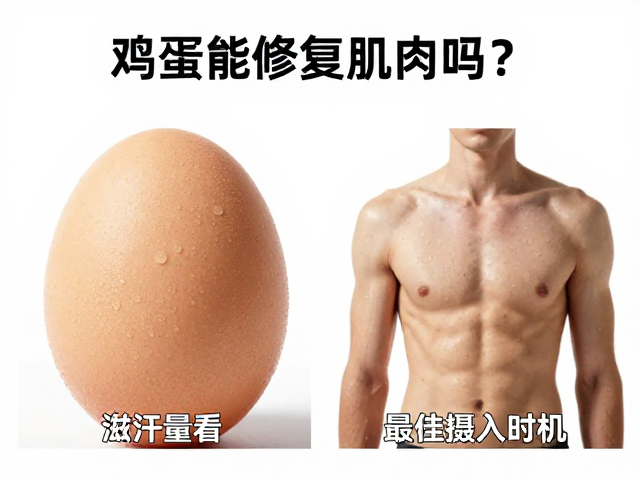 鸡蛋能修复肌肉吗?结合出汗量看最佳摄入时机