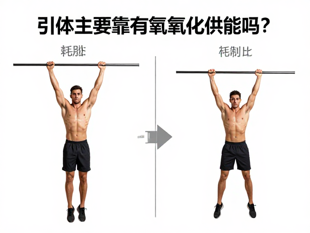 引体向上主要靠有氧氧化供能吗?揭秘耗能区别与真实供能机制